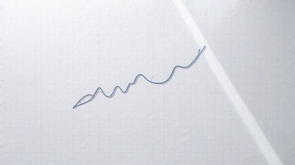 Découverte du score CDP : indicateur clé de la durabilité